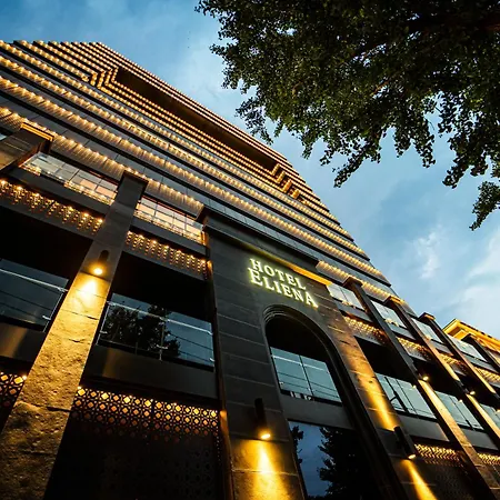 Eliena Hotel Seoul Gangnam