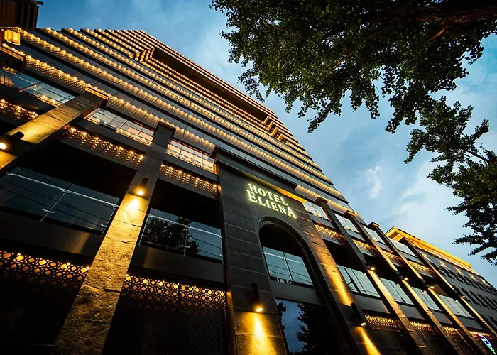 Hotel Eliena Gangnam Seoul